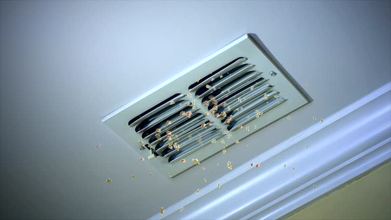 Best Professional Duct Cleaning Services  in South Les, AK