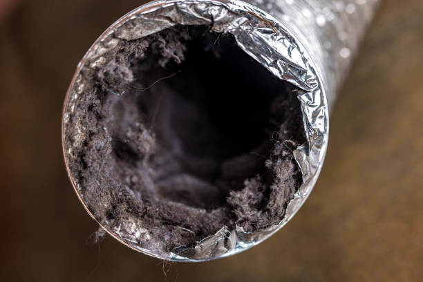 Best HVAC System Cleaning  in South Les, AK