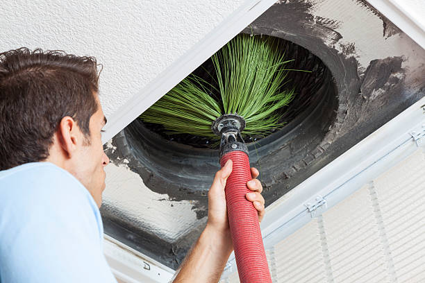 Best Duct Cleaning Specialists  in South Les, AK
